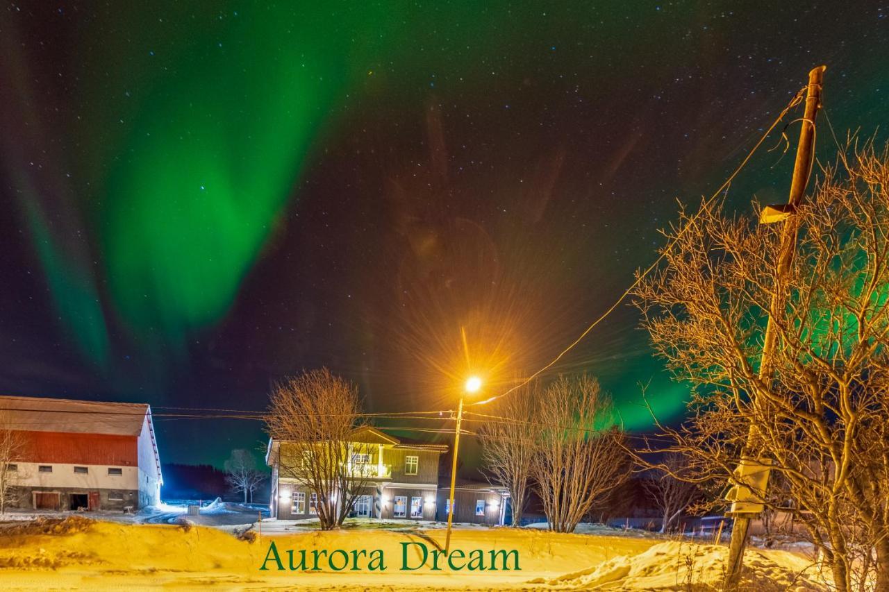Aurora Dream Apartman Svensby Kültér fotó